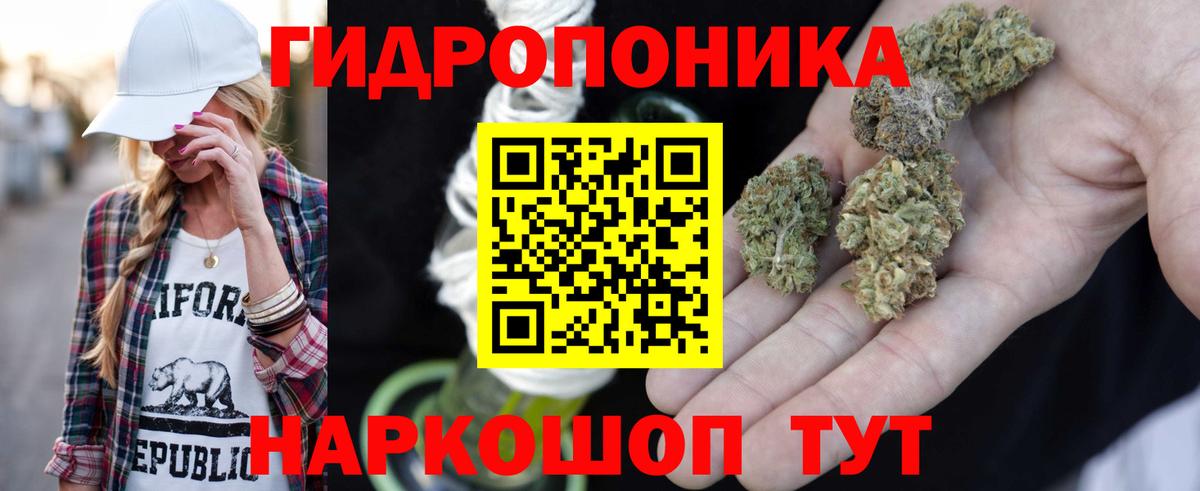 Конопля Amnesia  Бошки Шишки VHQ  Вход с VPN  МАРИХУАНА VHQ  Канабис сатива  Карпинск 